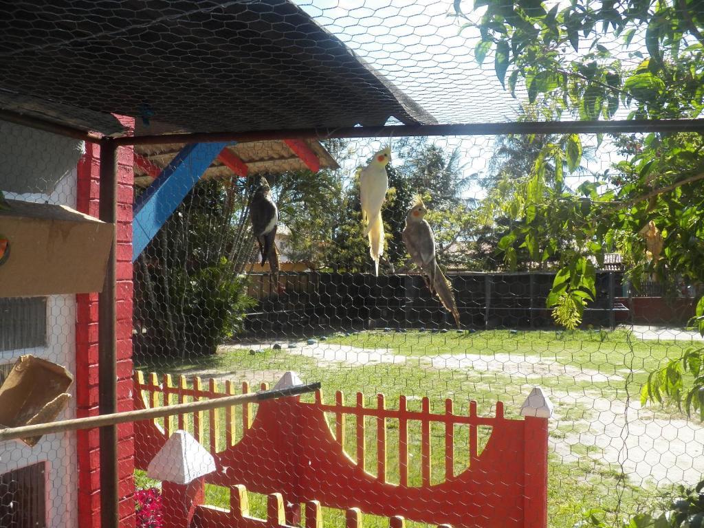 Pousada Solar Das Conchas Cabo Frío Exterior foto